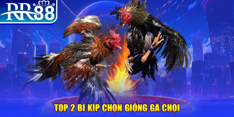 sun52 bắn cá h5