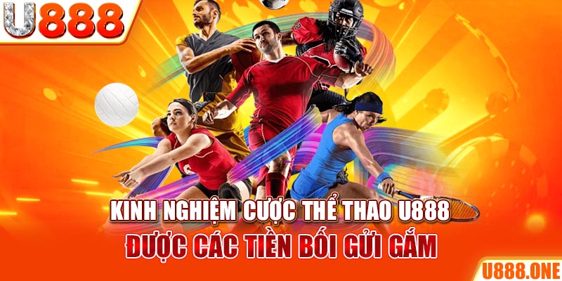 sun52 ÁT CHỦ BÀI GIÀNH LẤY ZHUANG NIUNIU ( XEM 3 LÁ )