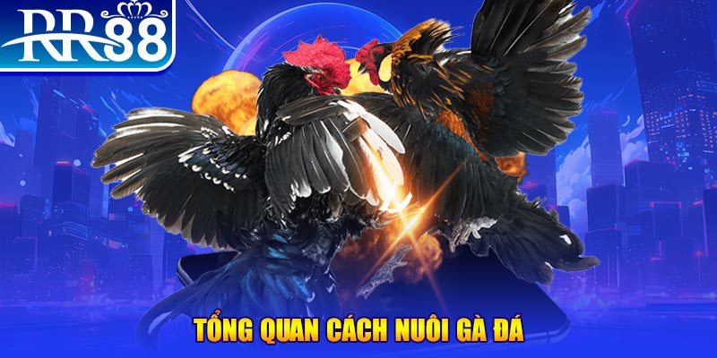 sun52 xổ số thứ ba