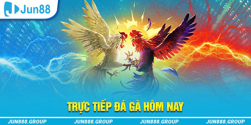 sun52 trực tiếp đá gà thomo