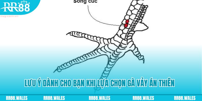 sun52 xổ số khánh hòa
