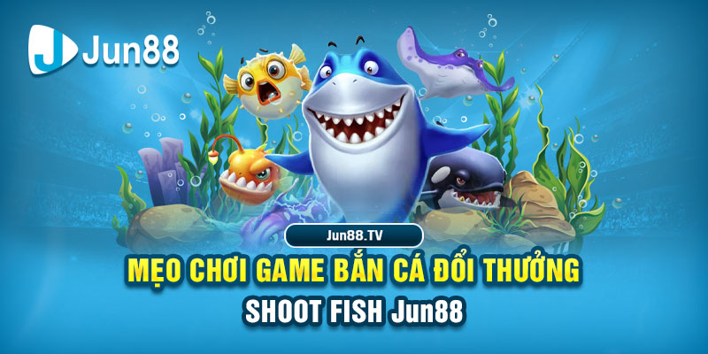 sun52 tải game đánh bài online về máy tính