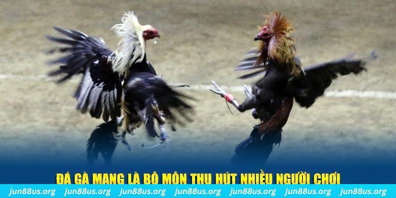 sun52 xổ số long an