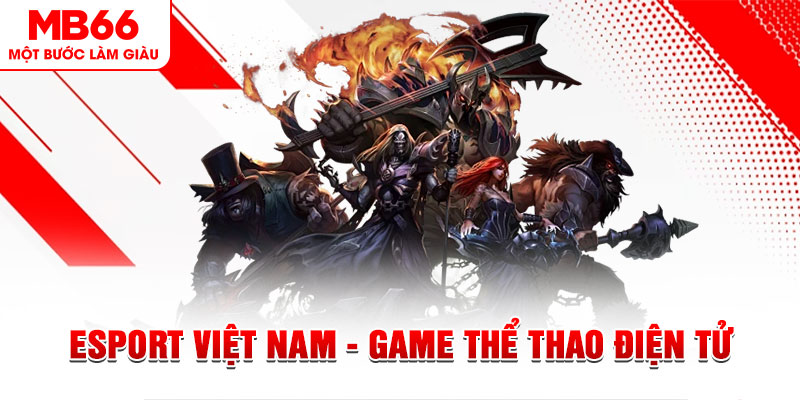 sun52 PT Điện Tử
