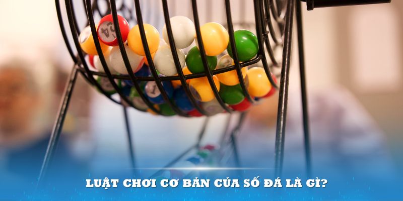sun52 Đĩa màu ace
