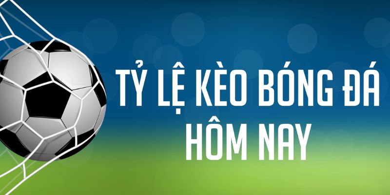 sun52 ÁT CHỦ MÁY HOA QUẢ THẦN TÀI