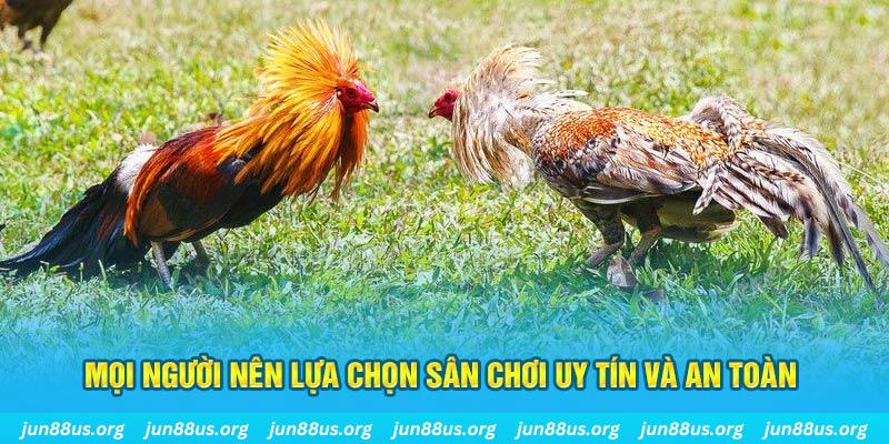 sun52 Tài Xỉu