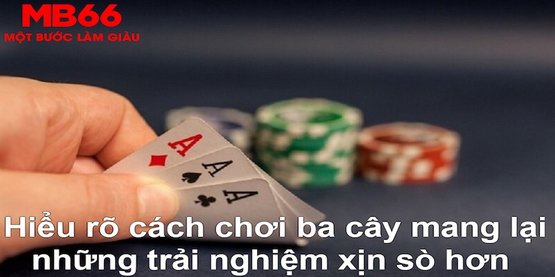sun52 DB Trực Tuyến