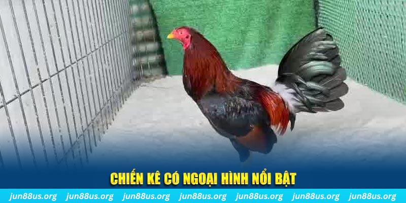 sun52 nhạc slot là gì
